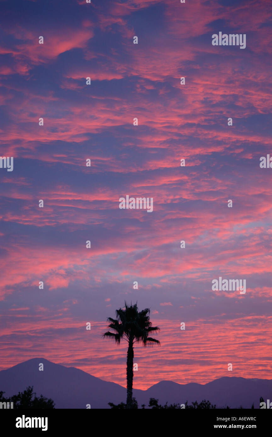 Spectacular red sky sunrise Stock Photo - Alamy