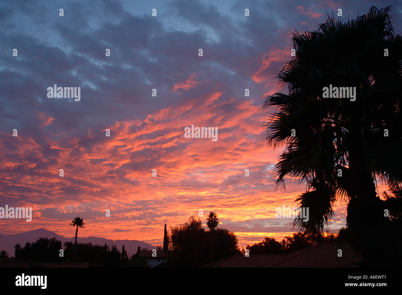 Spectacular red sky sunrise Stock Photo - Alamy