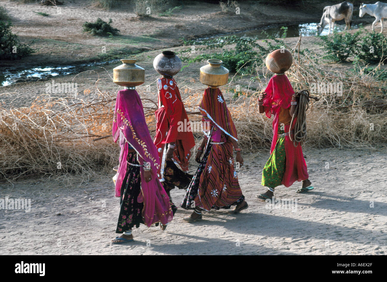 Women walking to a distant well with water pots on their heads. Rajasthan, India Stock Photo
