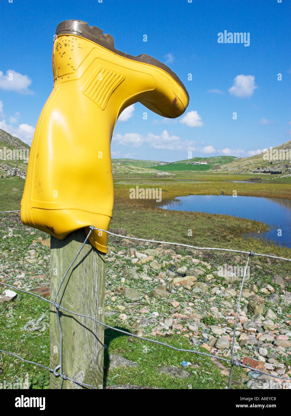 Yellow Welly Boot on Fence Post Culswick Shetland Scotland Stock Photo