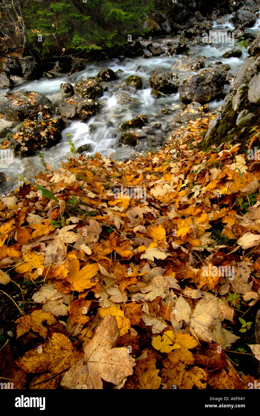 Triglav National Park, Slovenia Stock Photo - Alamy
