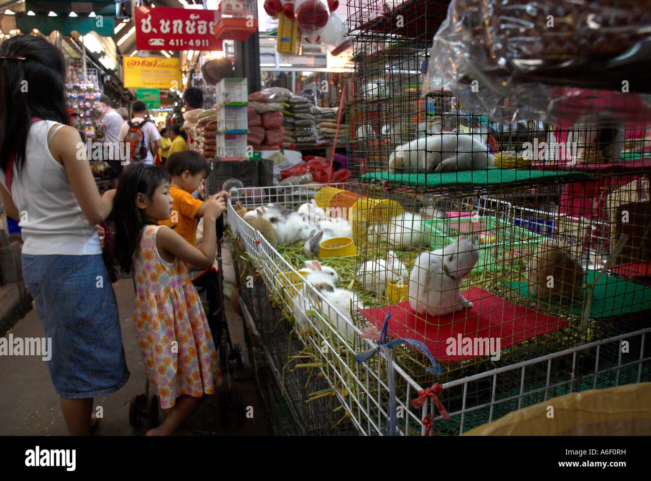 A stall selling rabbits at the Chatuchak market Bangkok Thailand Stock