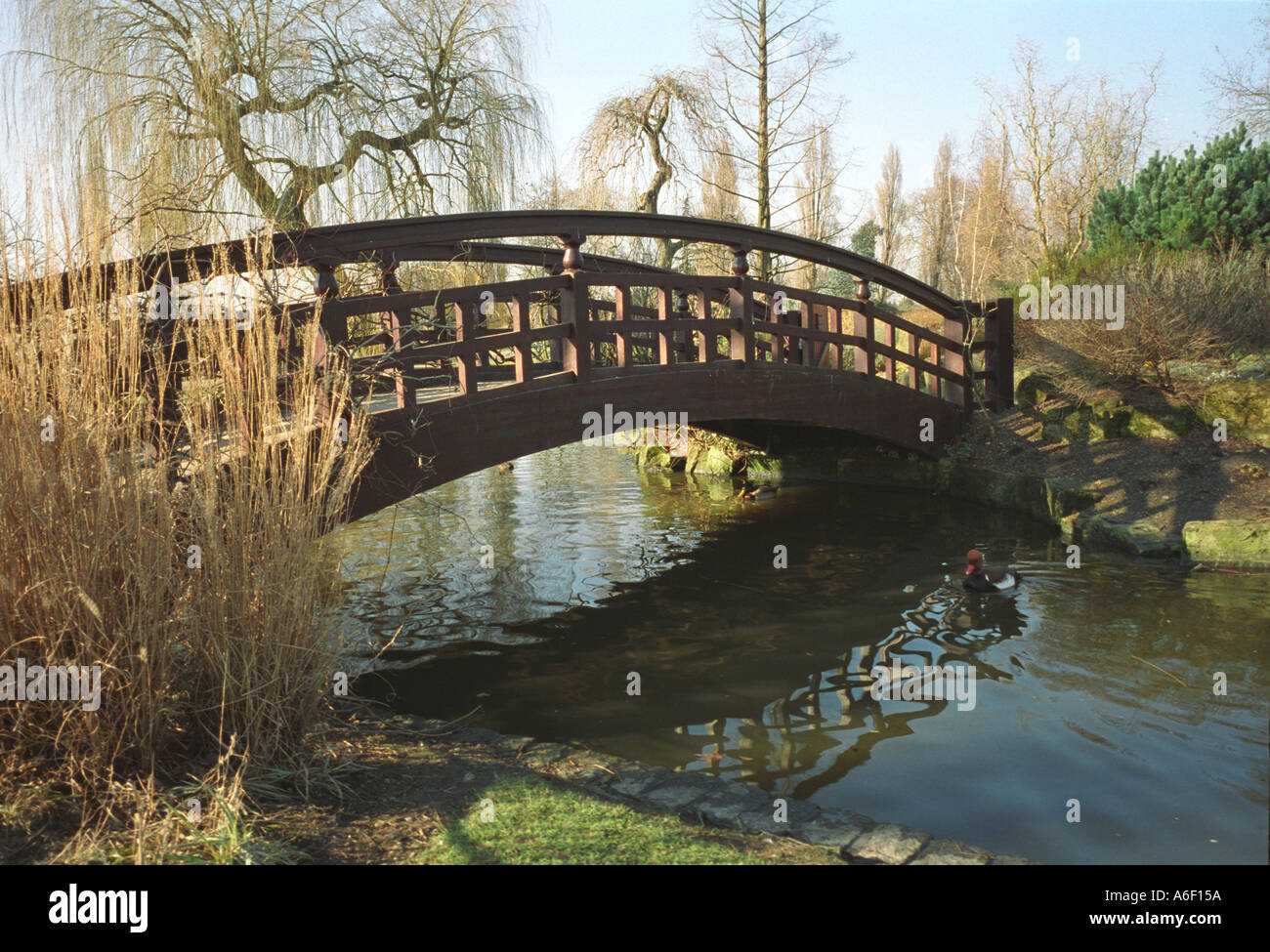 Bridge on a Sunny Day in Late Winter Regent s Park London Stock Photo