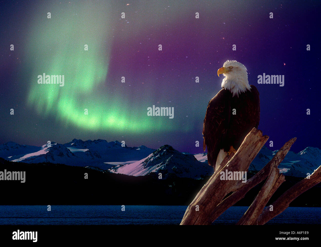 Alaskan Night Stock Photo