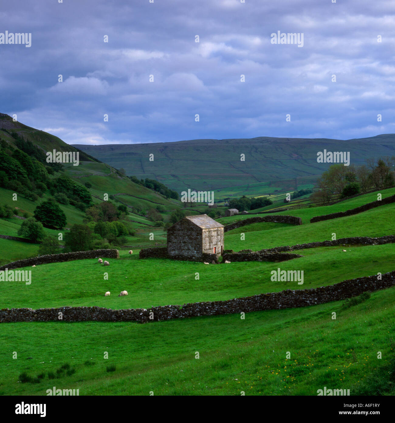 Upper Swaledale Yorkshire Dales National Park Stock Photo