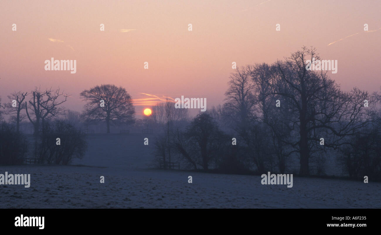 Pishiobury park Sawbridgeworth Stock Photo Alamy