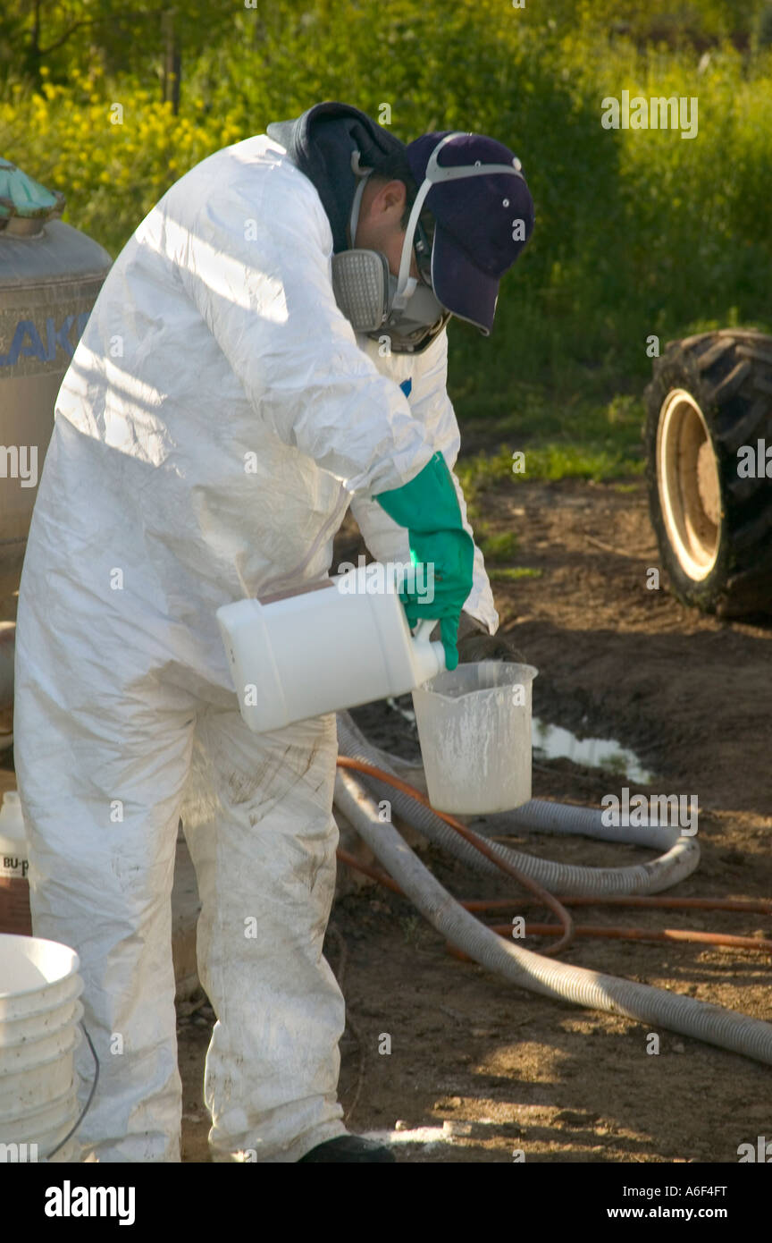 Worker wearing protective clothing & gear, mixing chemicals. Stock Photo