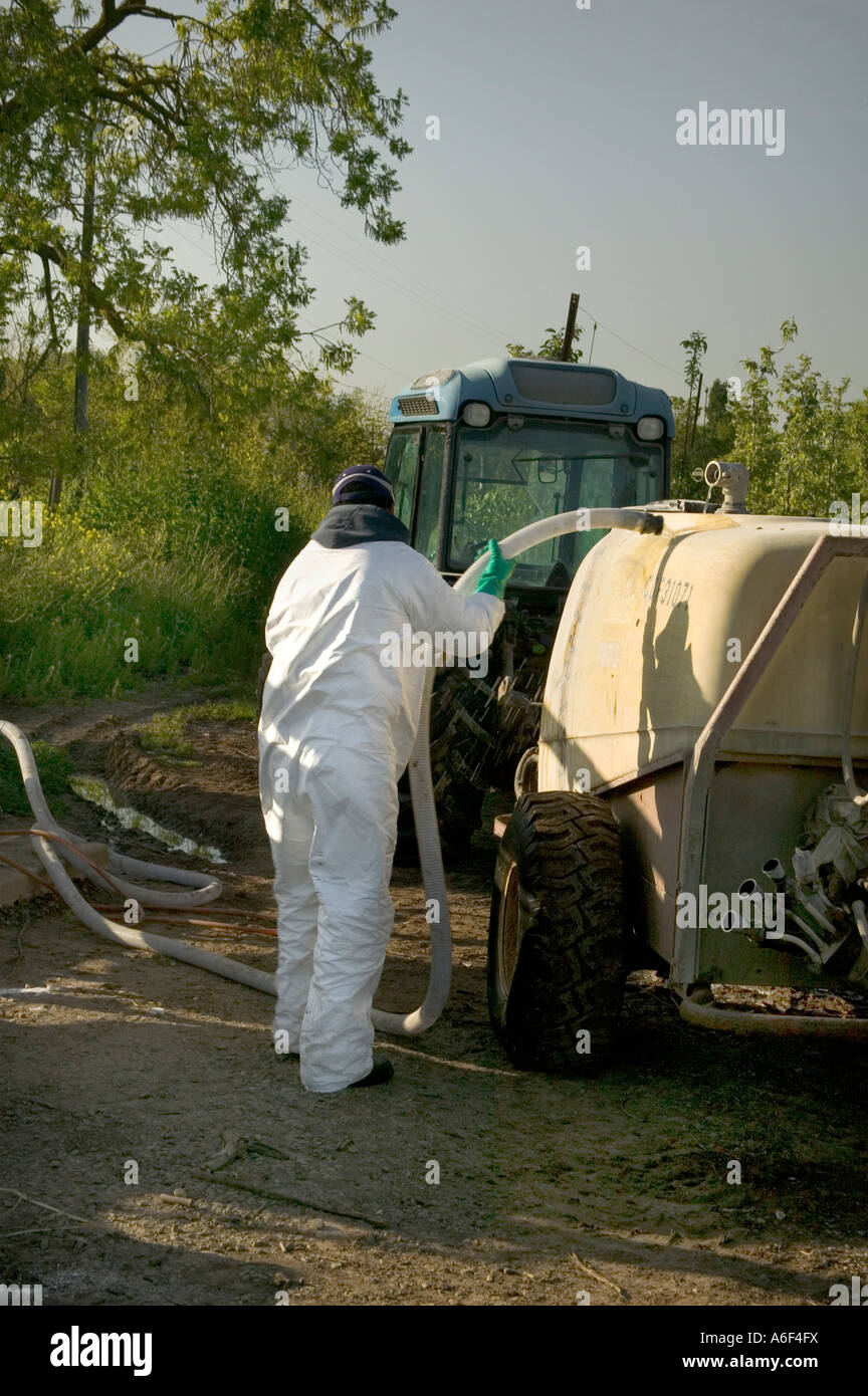 Worker wearing protective clothing, filling orchard sprayer, California Stock Photo