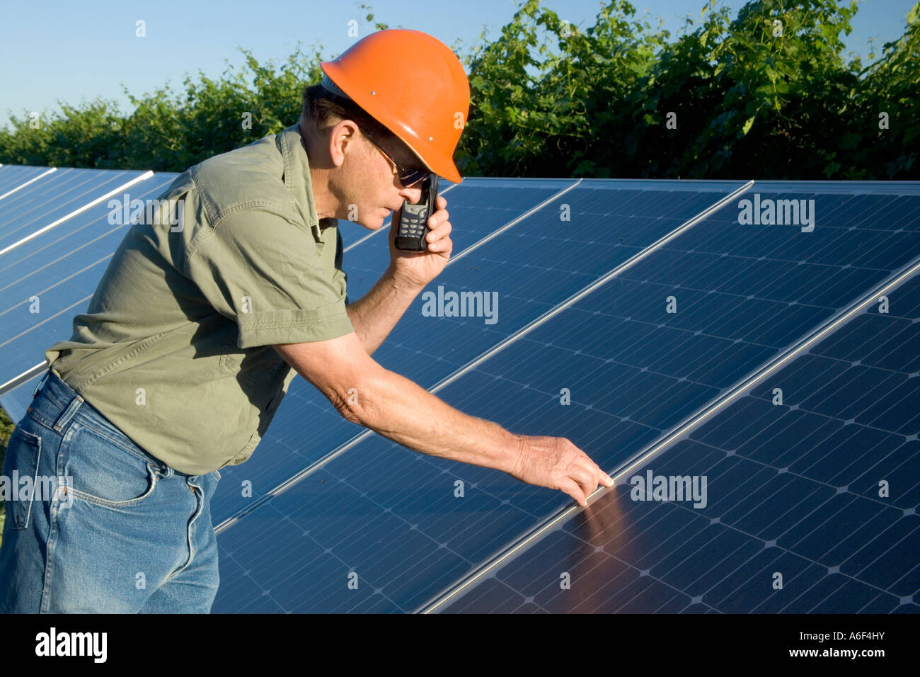 Engineer inspecting solar panels, communicating on cell phone  in vineyard, California. Stock Photo