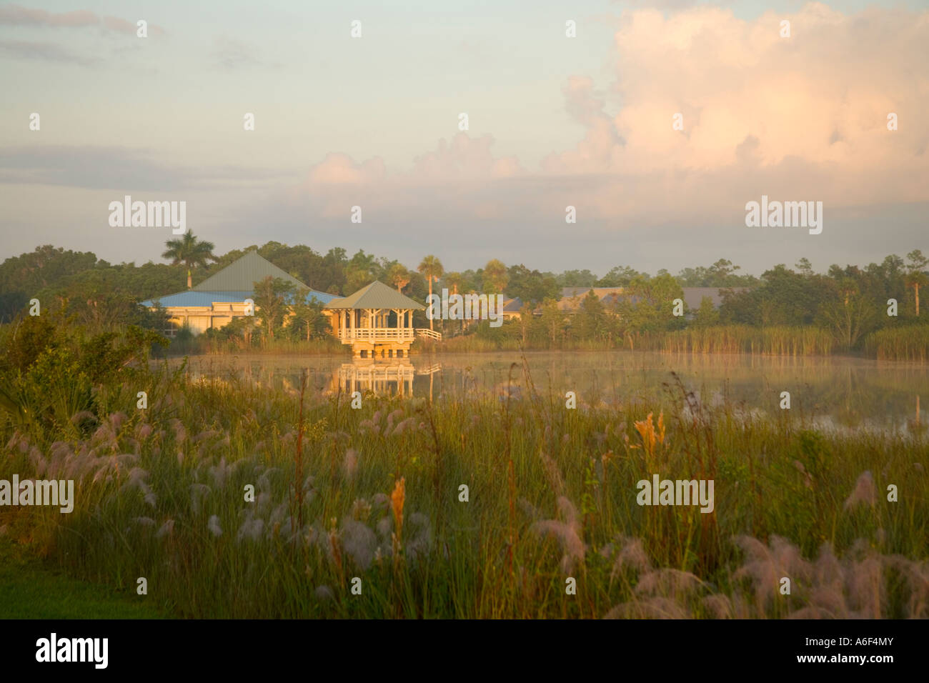 Ernest F. Coe Visitors Center, morning light, Everglades National Park, Florida Stock Photo