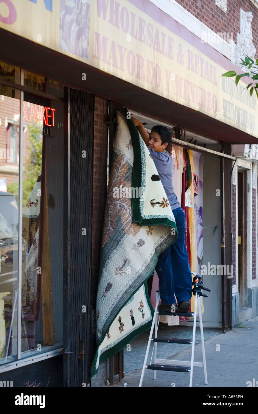 CHICAGO Illinois Teenage Mexican boy hang rugs in Albany Park store north side neighborhood