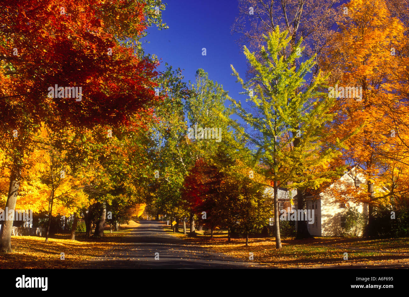 Deerfield road hires stock photography and images Alamy