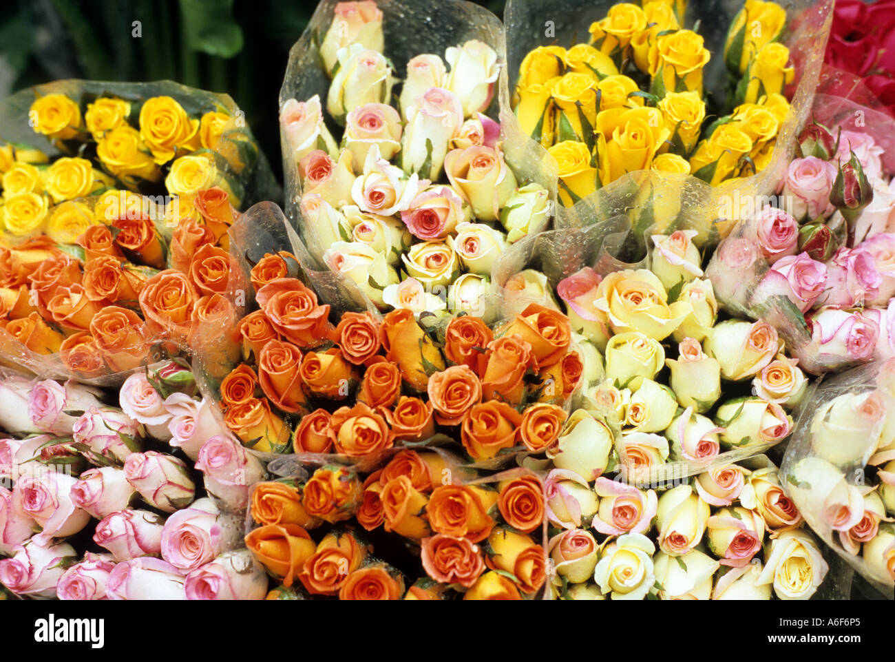 Bunches of roses, Old Quarter, Hanoi, Viet Nam Stock Photo - Alamy