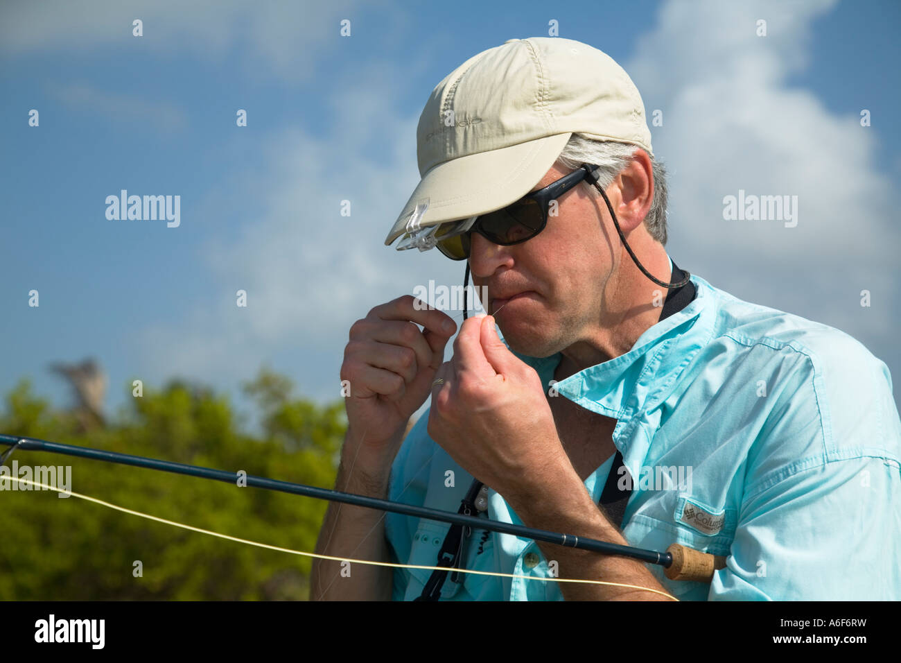 BELIZE Ambergris Caye Adult male fly fishing in flats along shoreline for bonefish change fly on line bite line with teeth Stock Photo