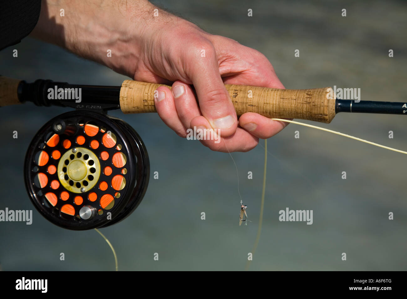 Close up fishing rod reel hi-res stock photography and images