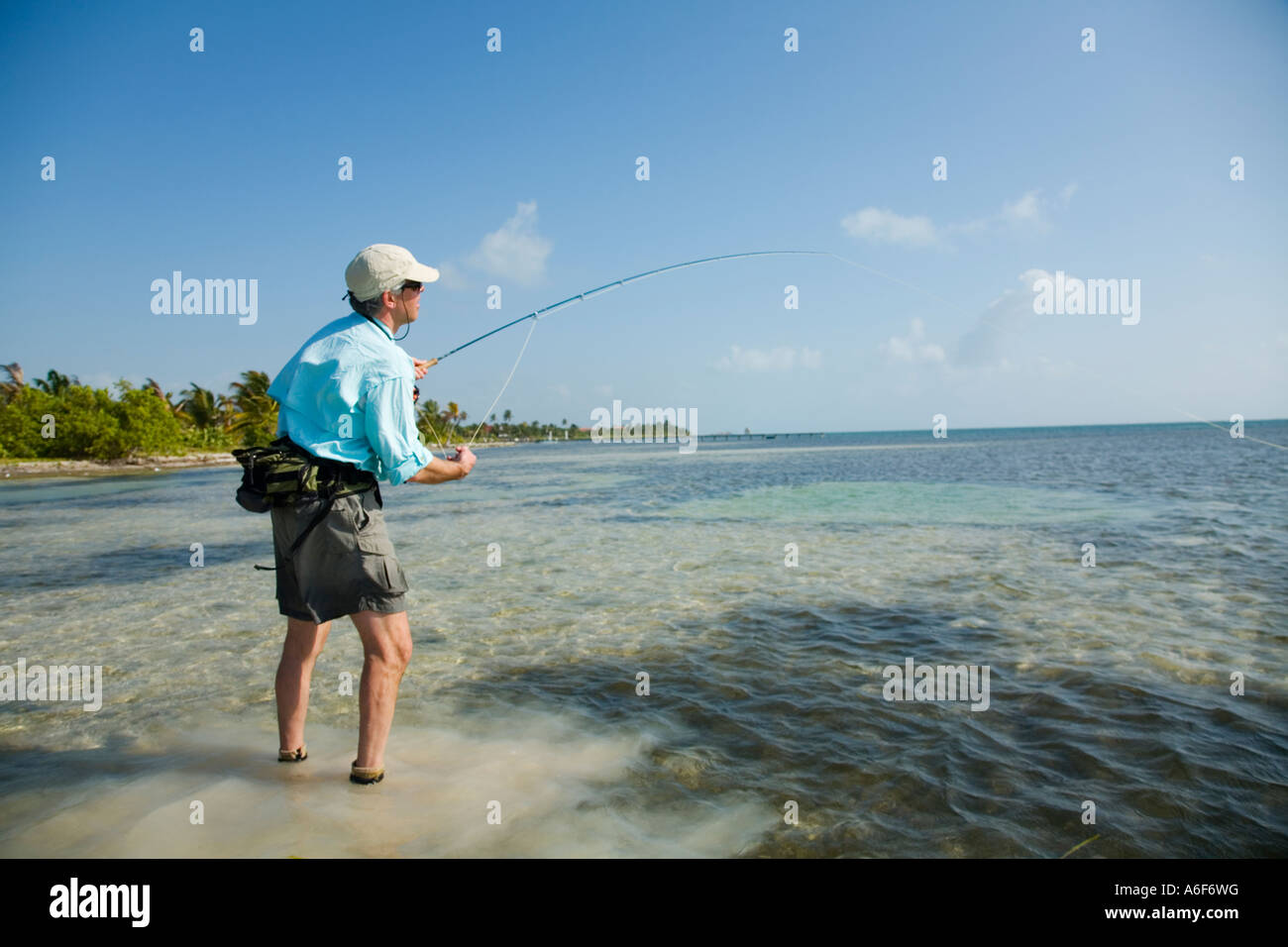 BELIZE Ambergris Caye Adult male fly fishing in flats along shoreline for bonefish wading in