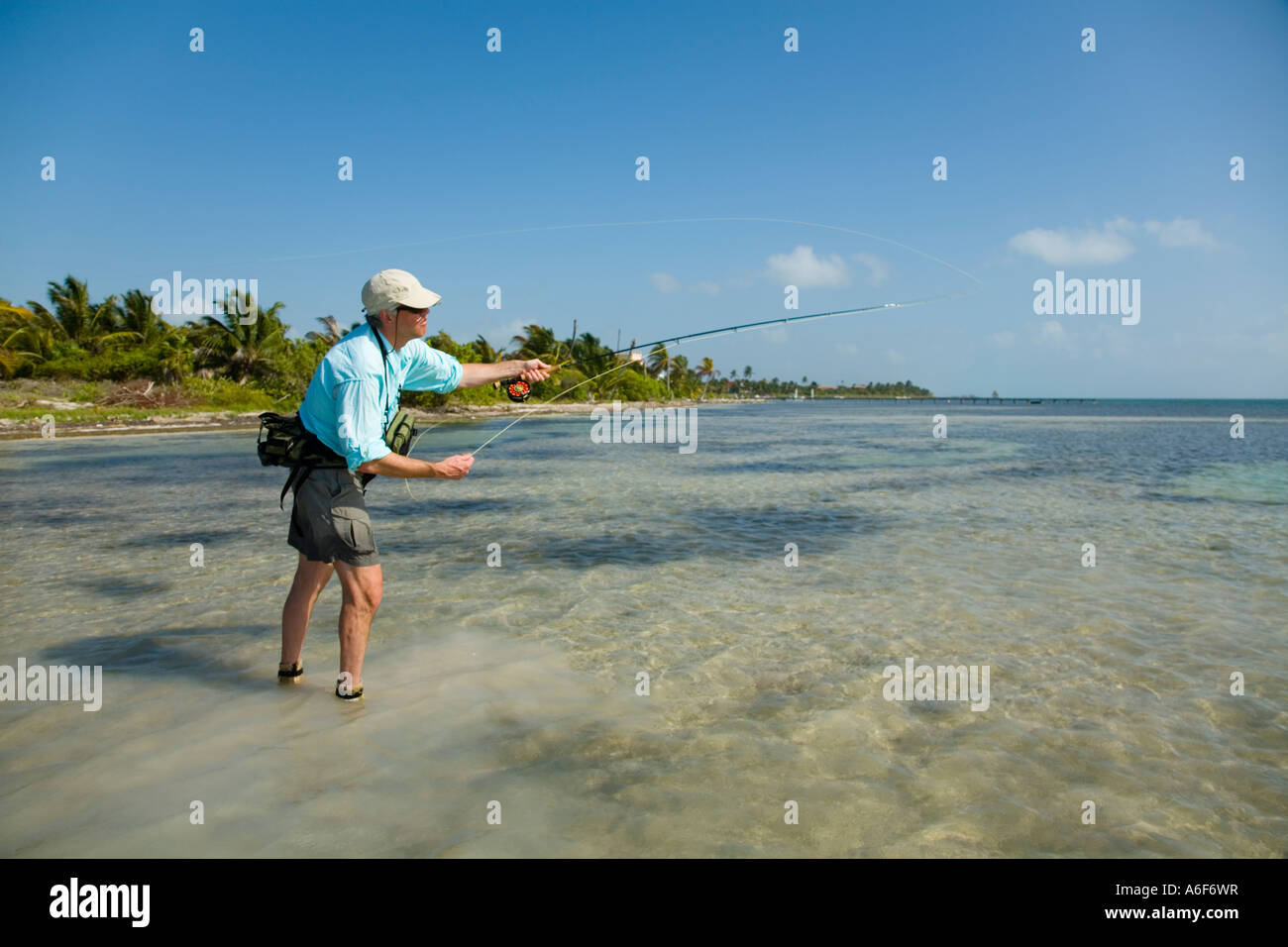 BELIZE Ambergris Caye Adult male fly fishing in flats along shoreline