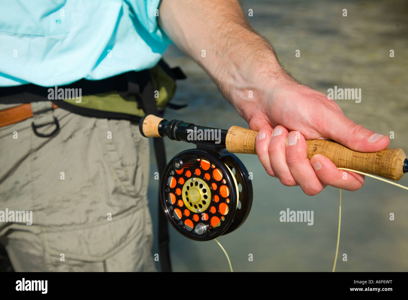 BELIZE Ambergris Caye Adult male fly fishing in flats along shoreline
