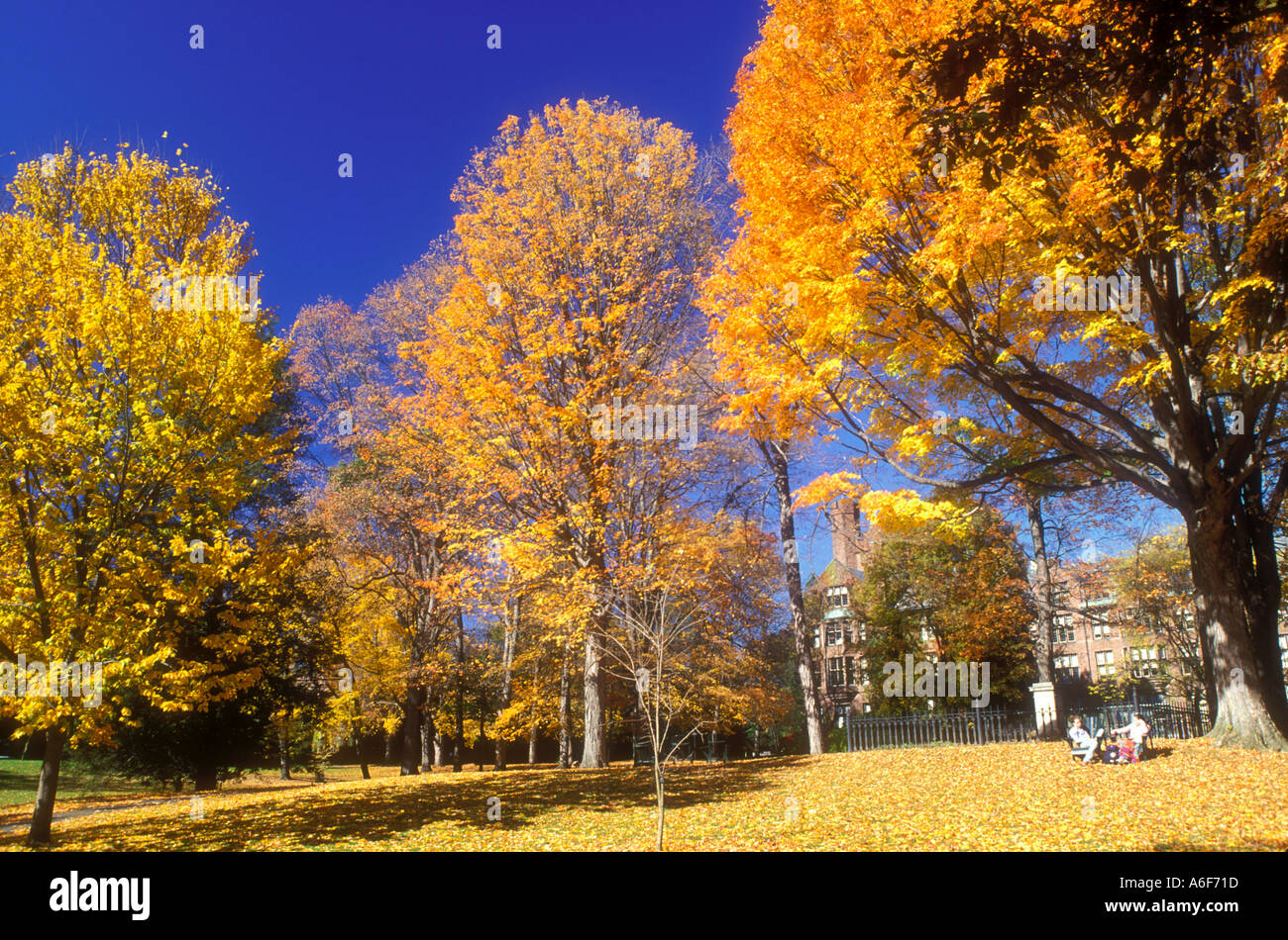 AJ9322, South Hadley, Massachusetts, MA Stock Photo - Alamy