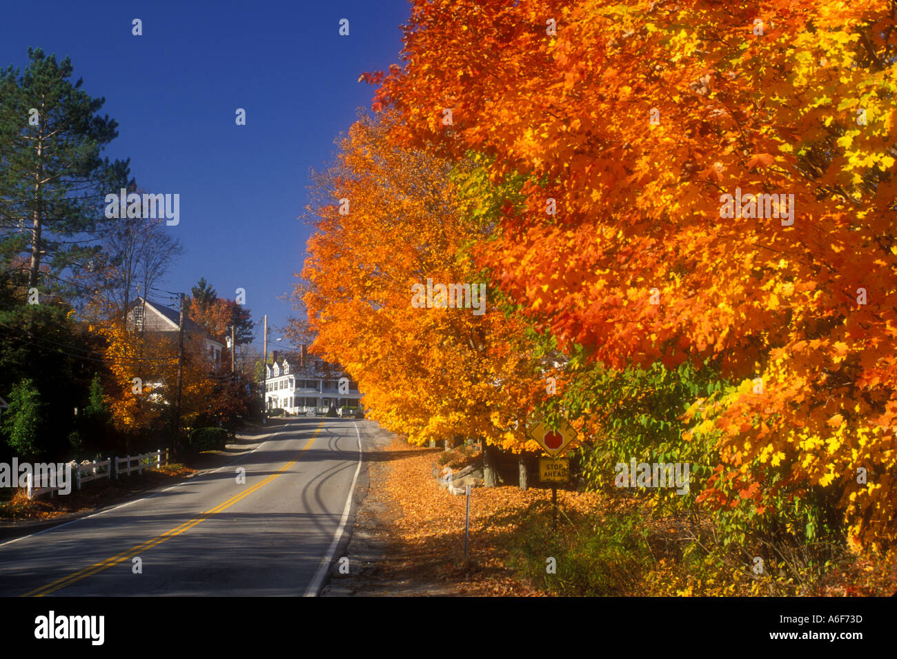 Jenny fitzwilliam hires stock photography and images Alamy