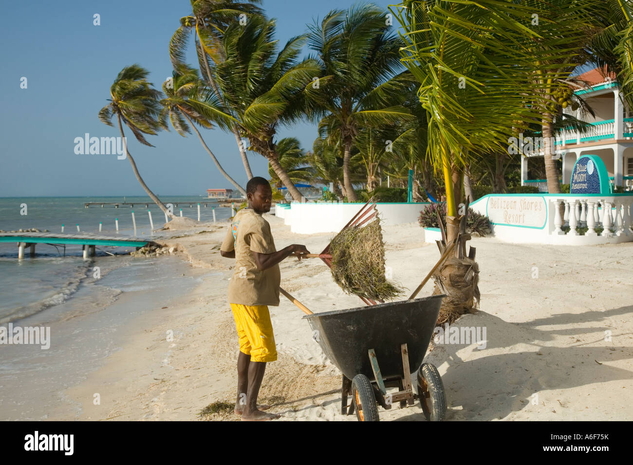 Seaweed rake 2024