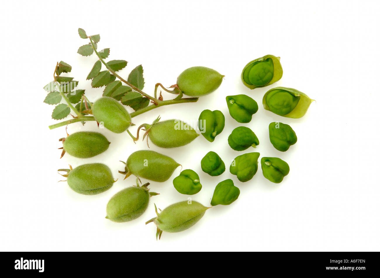 Vegetables Green Grams with white background Stock Photo Alamy