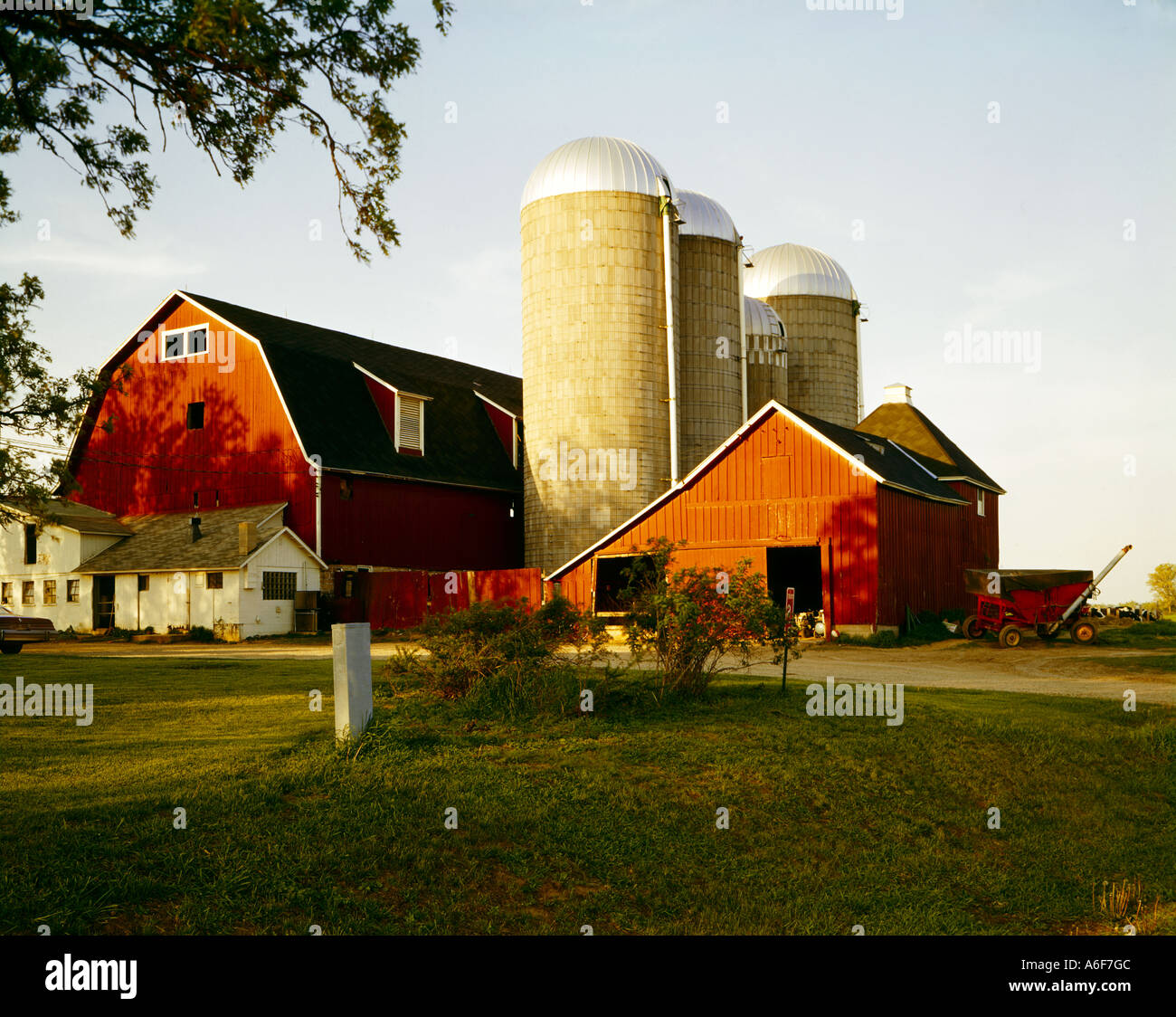 Wisconsin Dairy Farm With Red Barn And Outbuildings And Three Tall