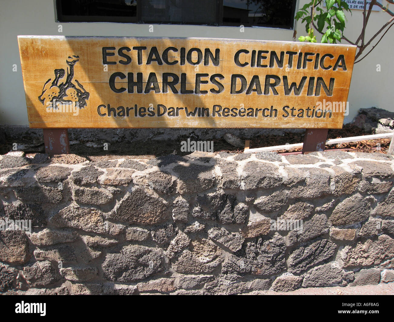 Charles Darwin Research Station on the island of Santa Cruz in the Galapagos Archipelago Pacific Ocean Ecuador Stock Photo