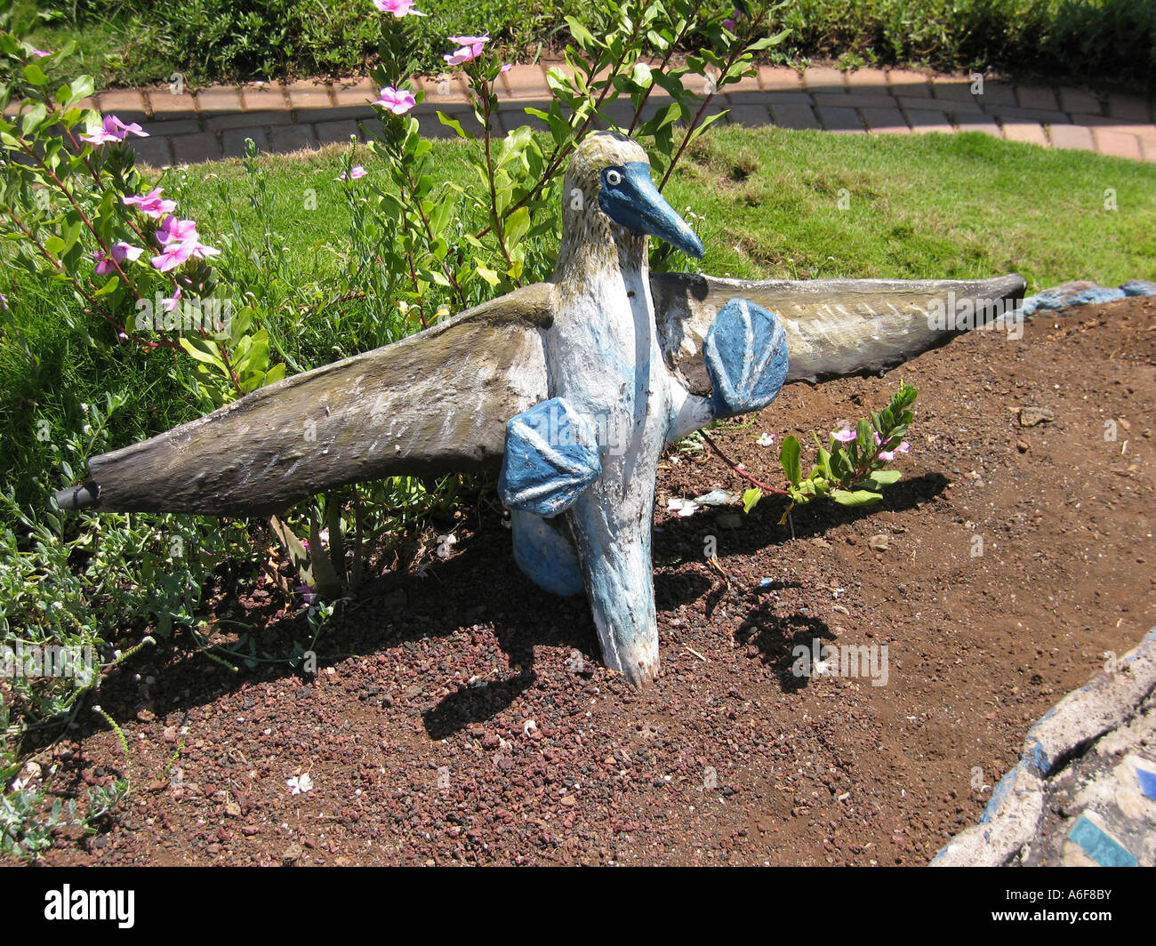 A model of a Blue Footed booby at Puerto Ayora on the island of Santa Cruz in the Galapagos Archipelago Pacific Ocean Ecuador Stock Photo