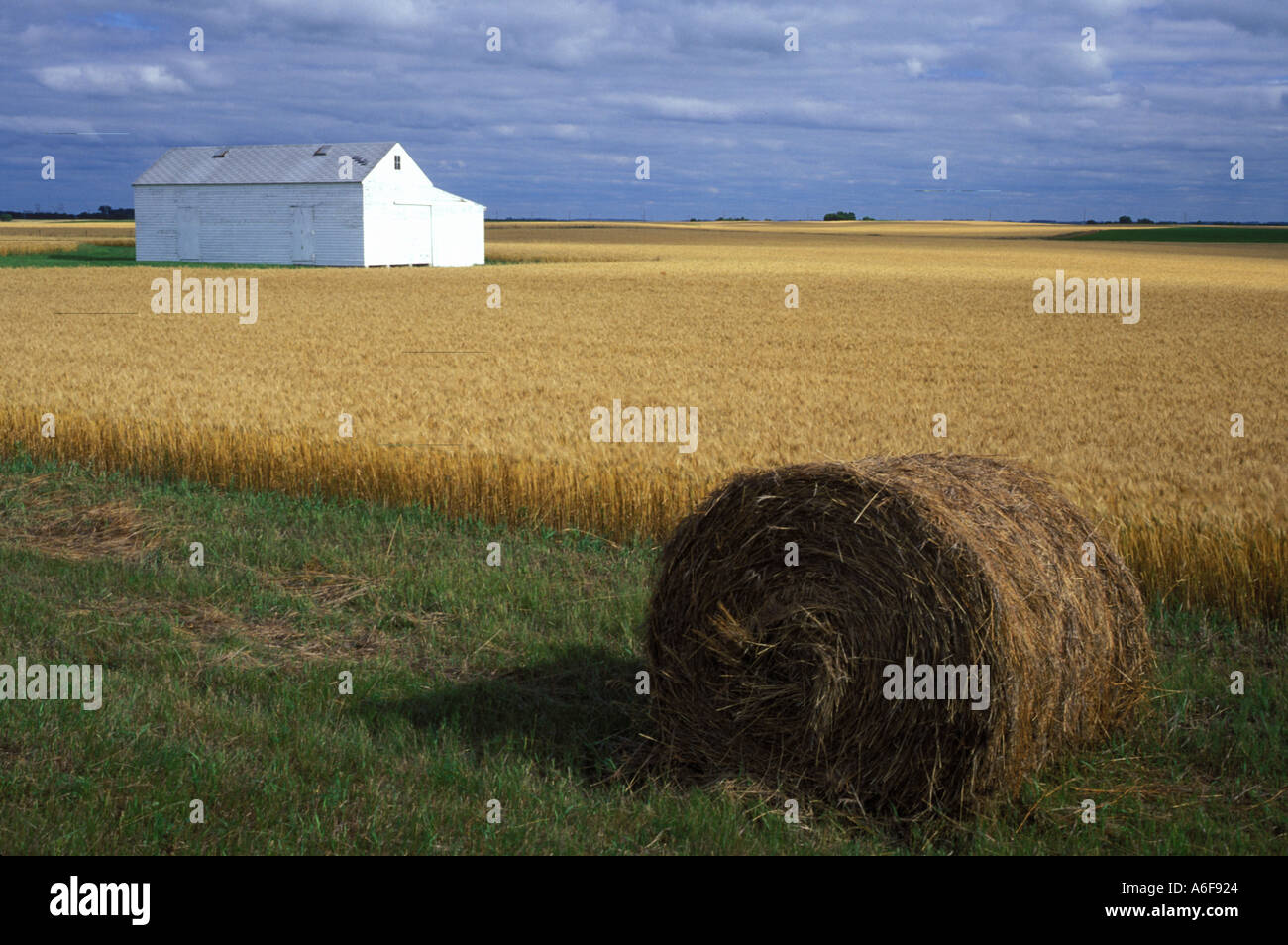 South dakota farmland hires stock photography and images Alamy