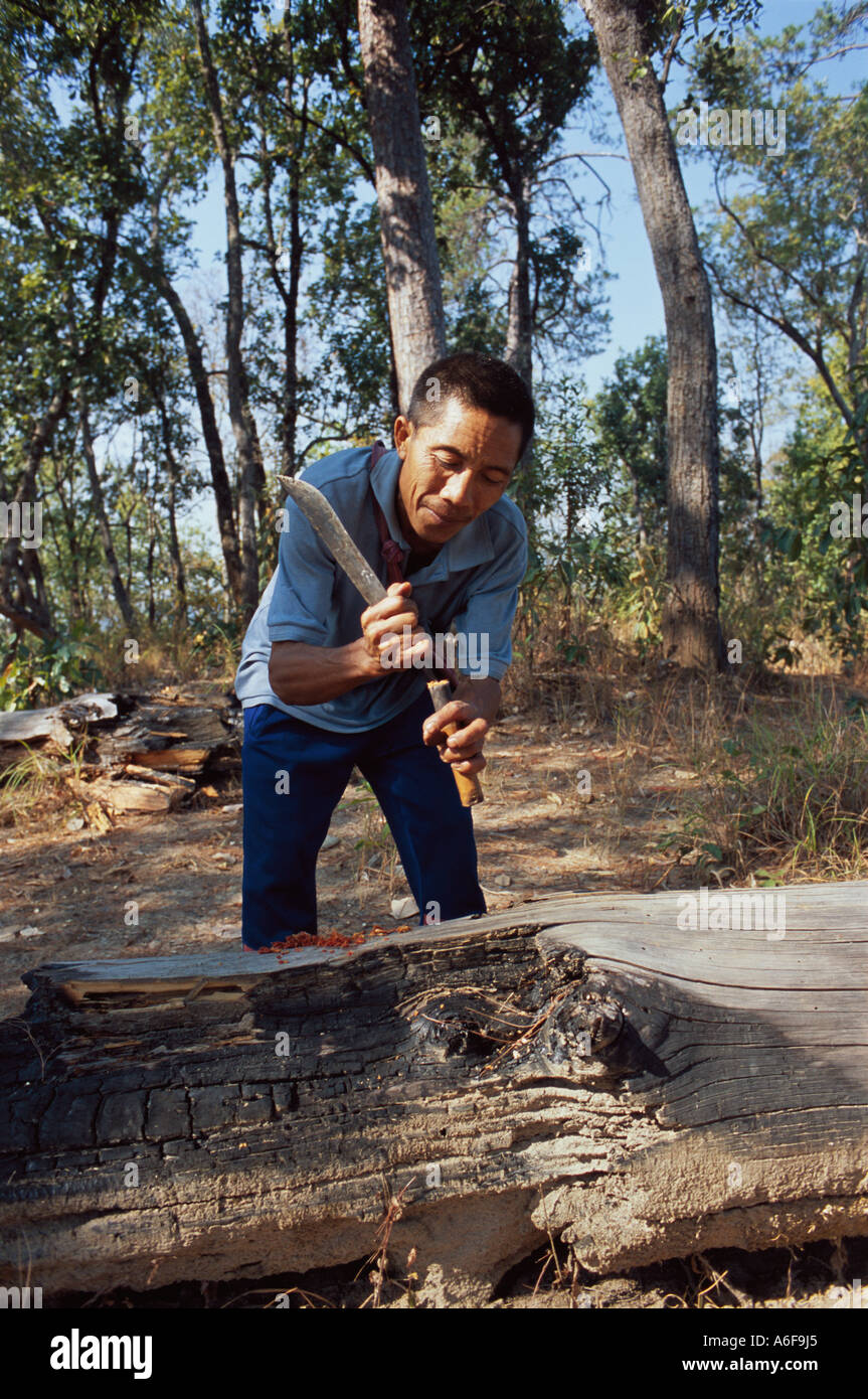 Man with machete jungle hi-res stock photography and images - Alamy