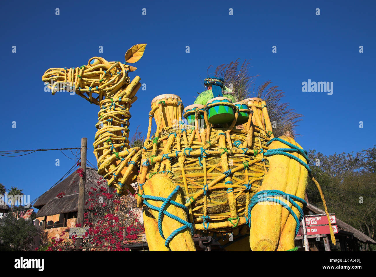 camel float