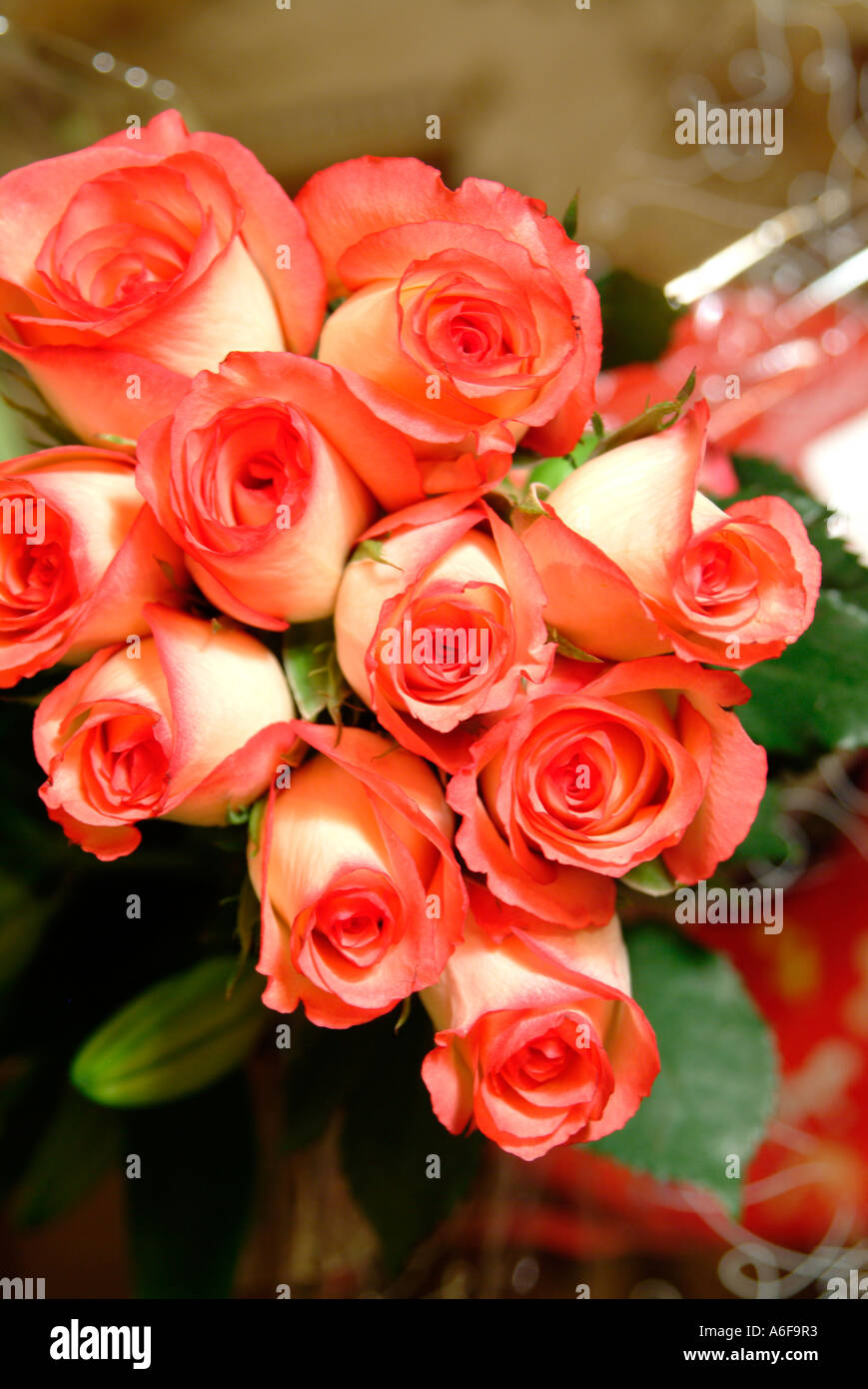 Ten roses hi-res stock photography and images - Alamy