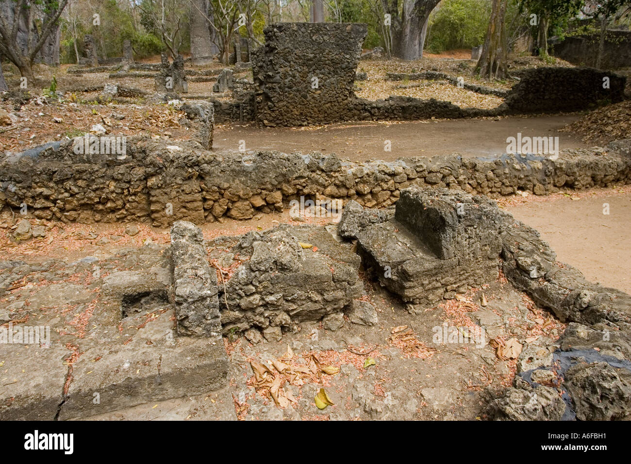Ancient toilet system at Gedi ruins in the Arabuko Sokoke forest near