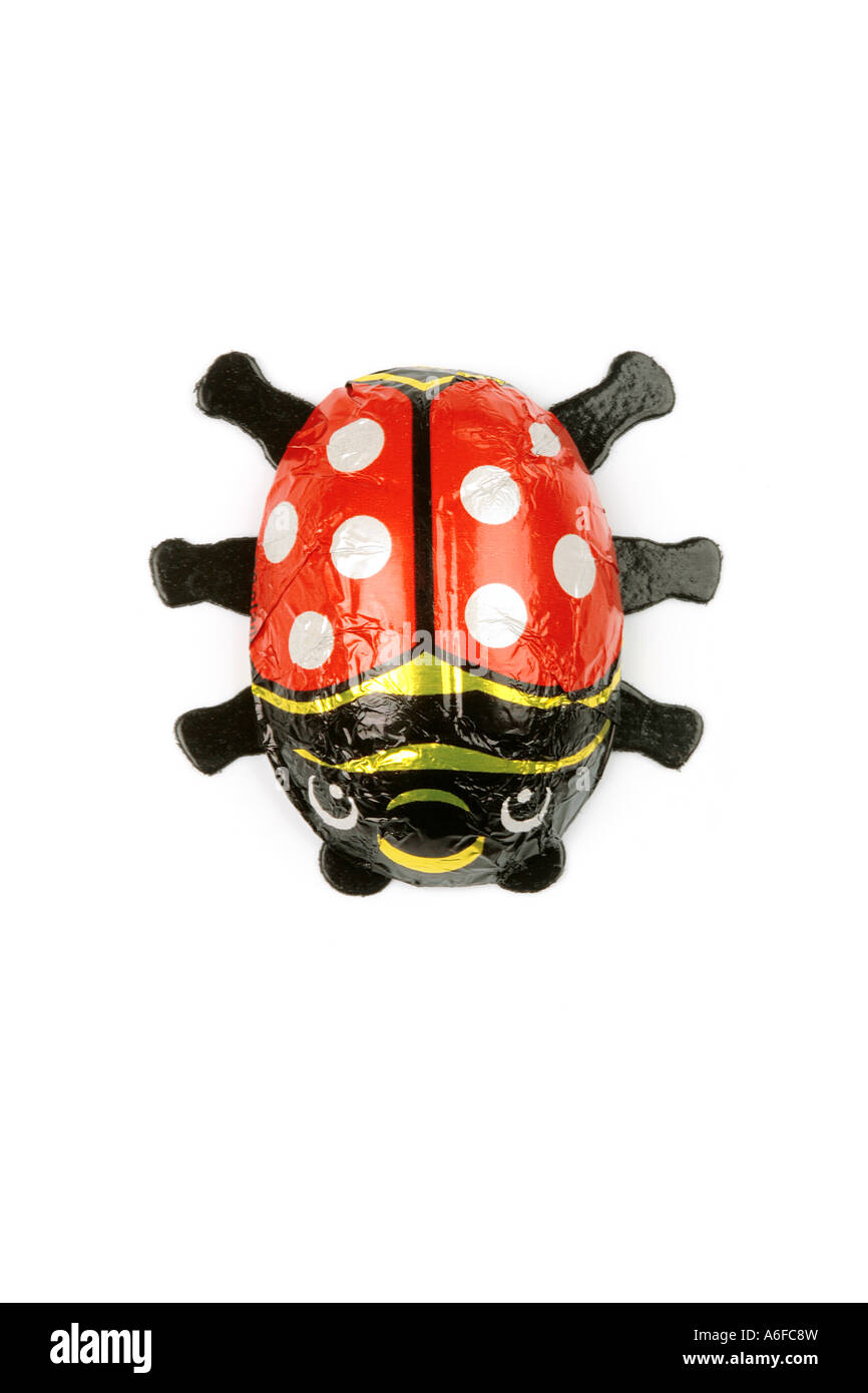 chocolate ladybug ladybird Marienkäfer aus Schokolade Stock Photo