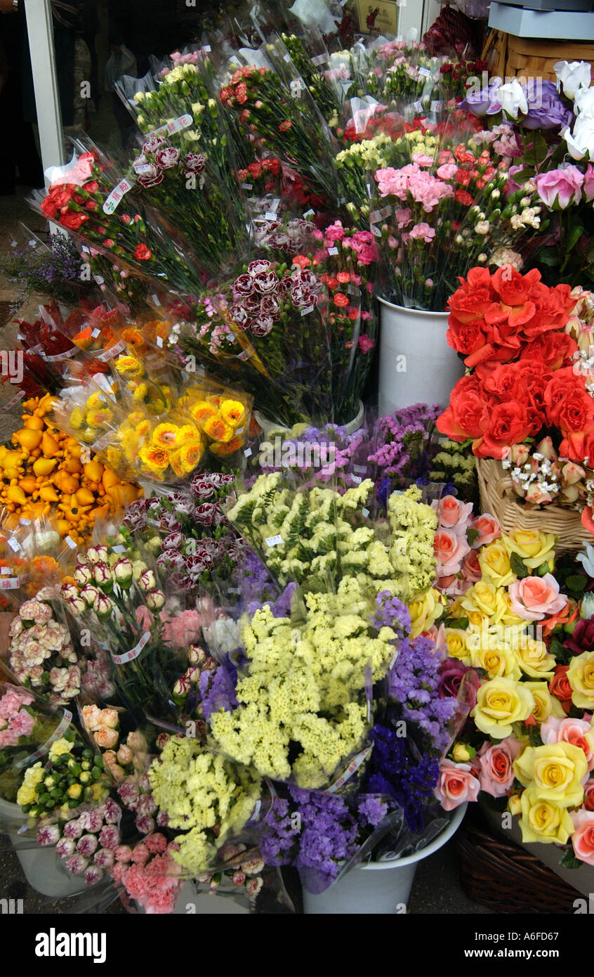 The Flower Market Street in Hong Kong, Far East Stock Photo Alamy