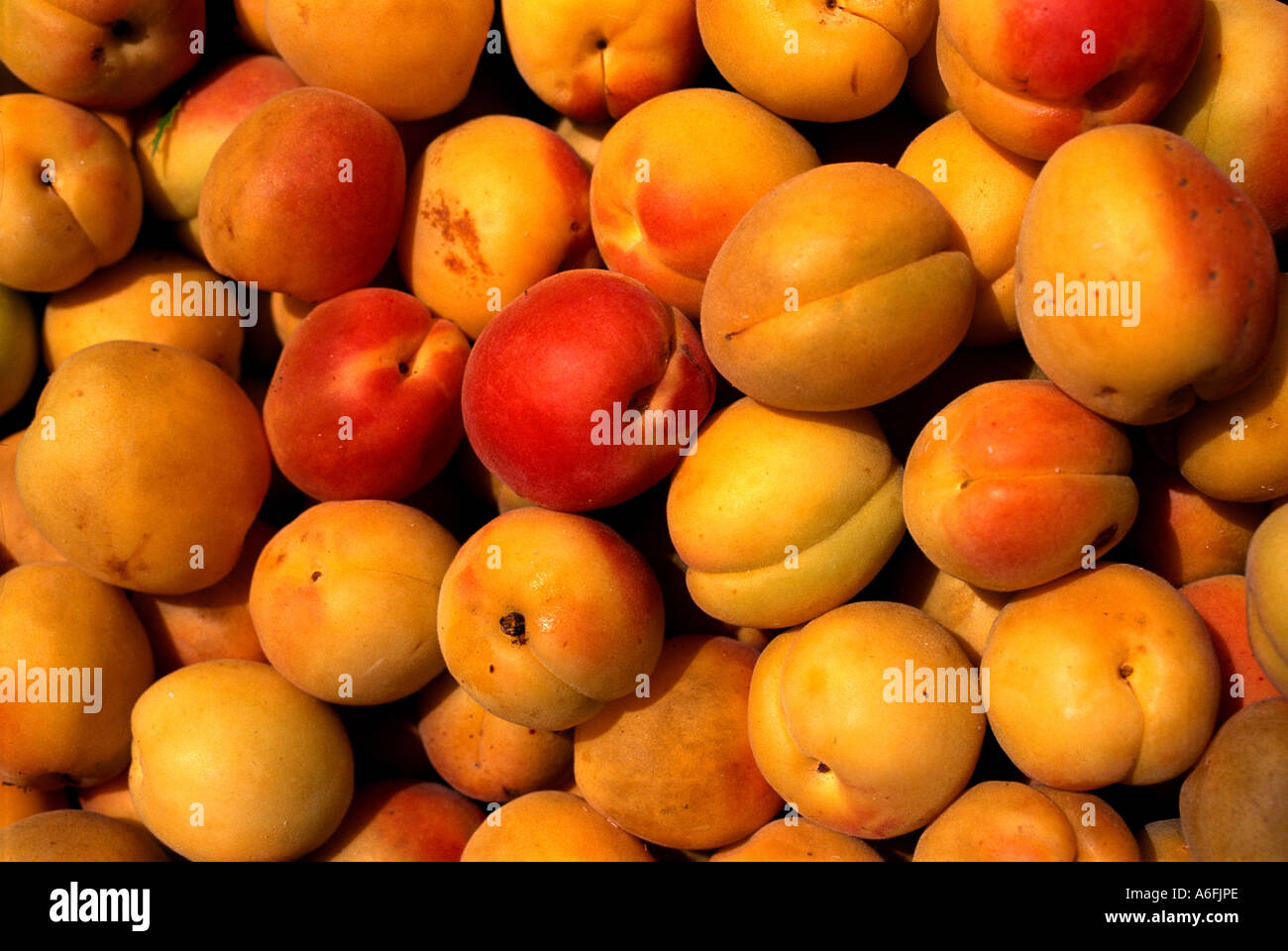 Turkey Istanbul Apricot Stock Photo Alamy