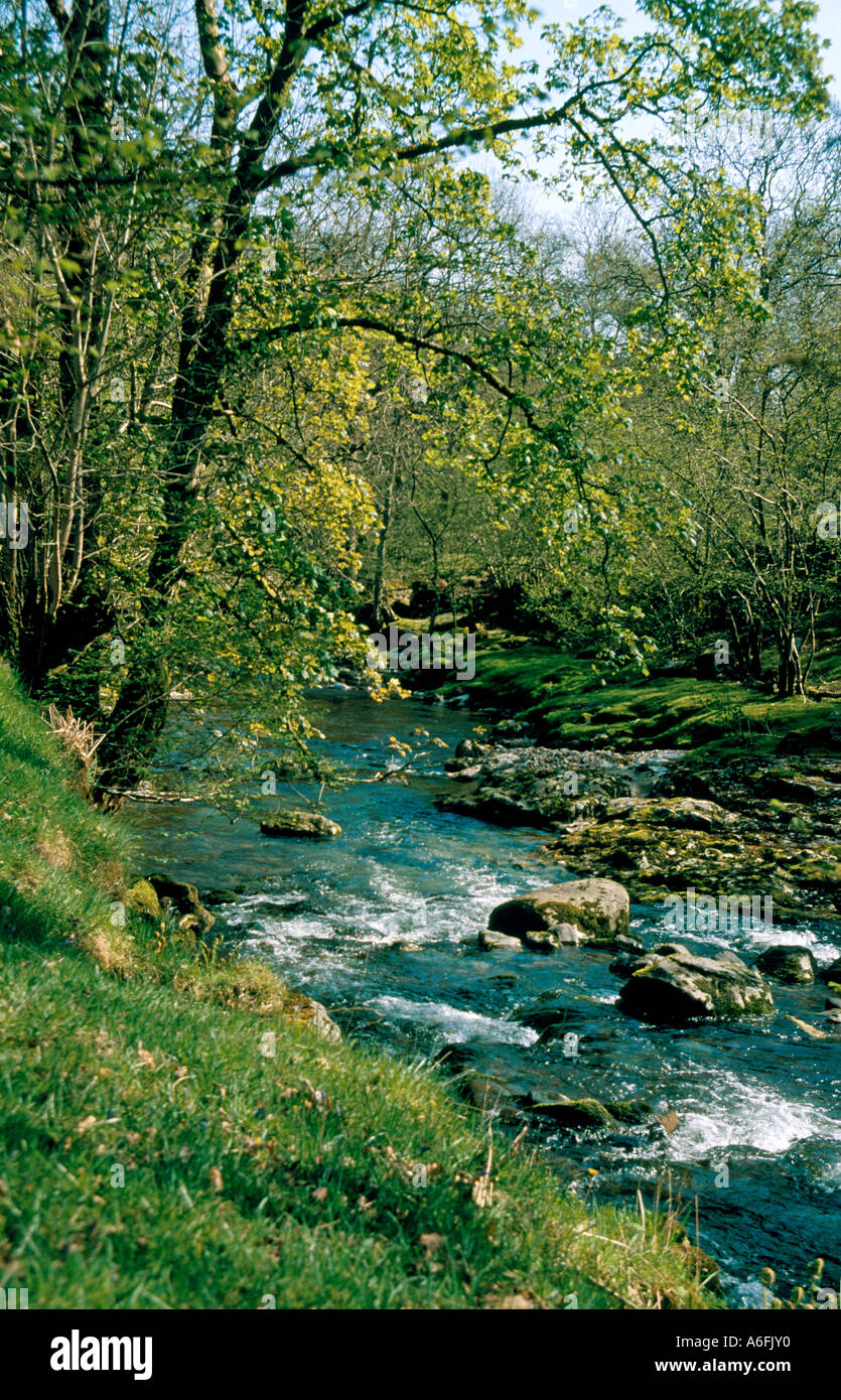 Wales Rivers Pretty Pretty river hi-res stock photography and images - Alamy