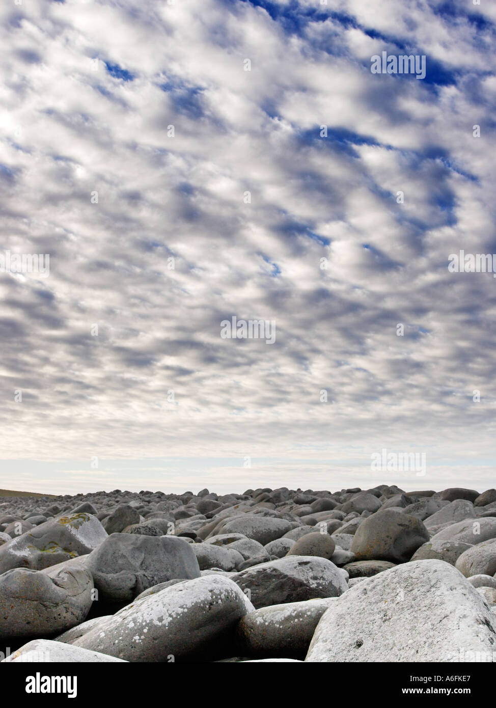 Grutness hi-res stock photography and images - Alamy