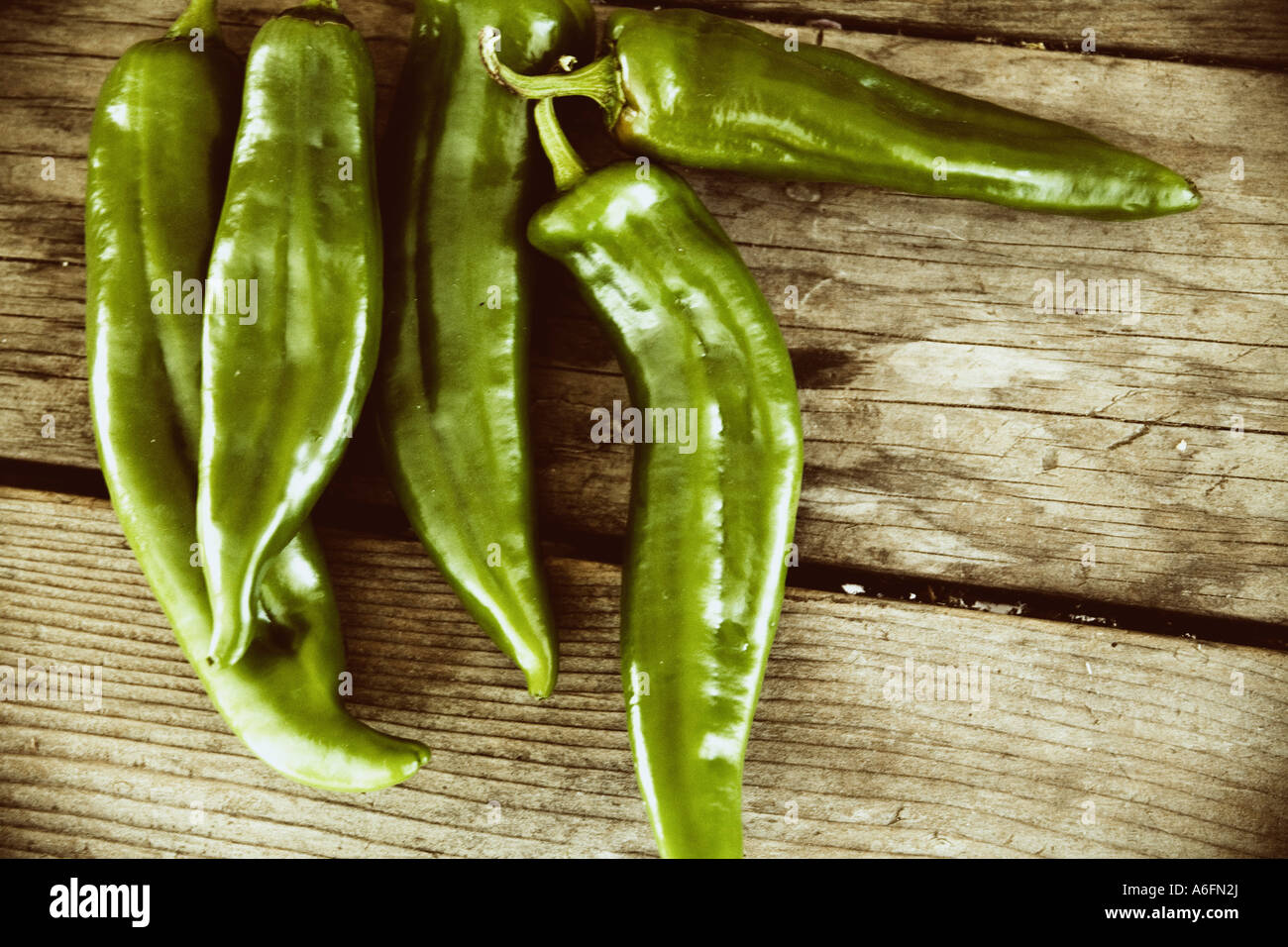 Pasilla hires stock photography and images Alamy