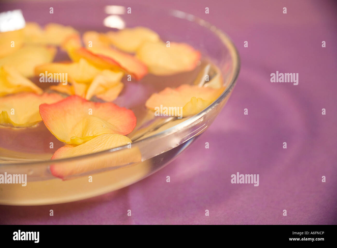 Flower petals floating in bowl of water Stock Photo Alamy