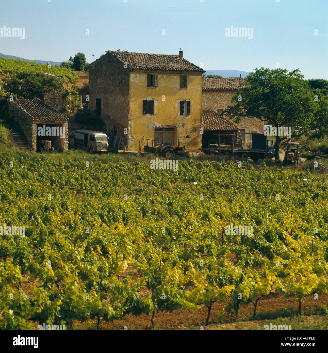 Small farm and vineyard Provence France Stock Photo Alamy