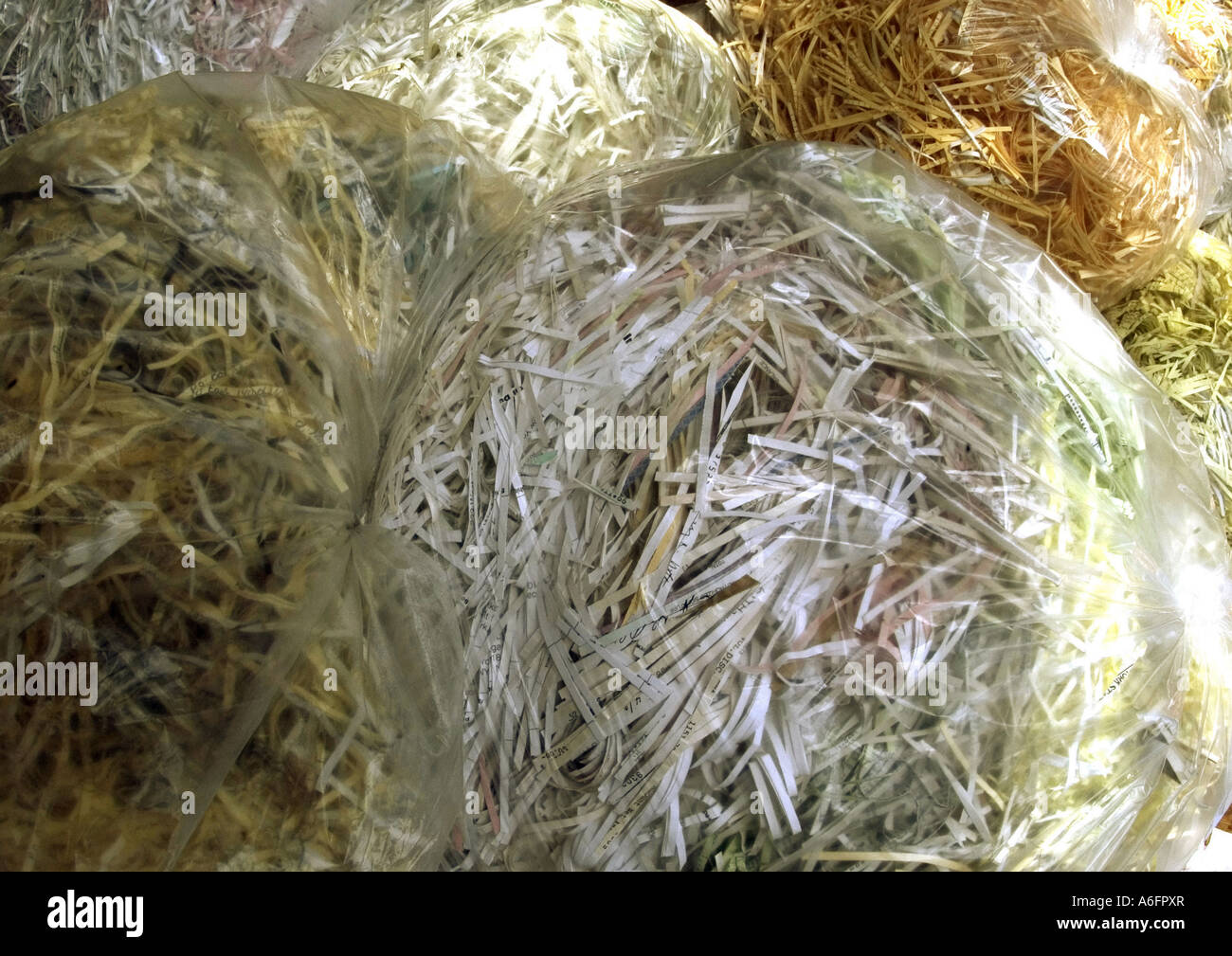 Bags of shredded paper readied for recycling NYC Stock Photo Alamy