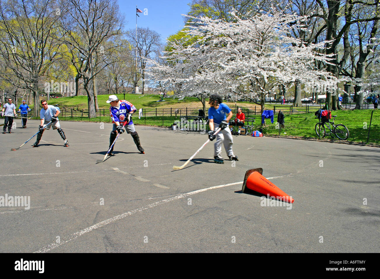 Urban roller hockey game in Central Park New York Stock Photo Alamy