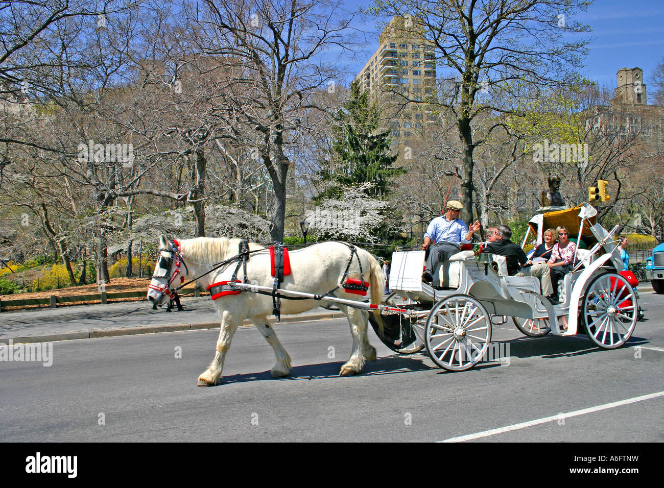 Horse drawn carriage tour in Central Park New York Stock Photo - Alamy