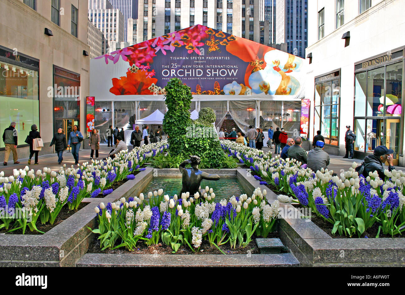 Orchid Show Rockefeller Center New York City Stock Photo - Alamy