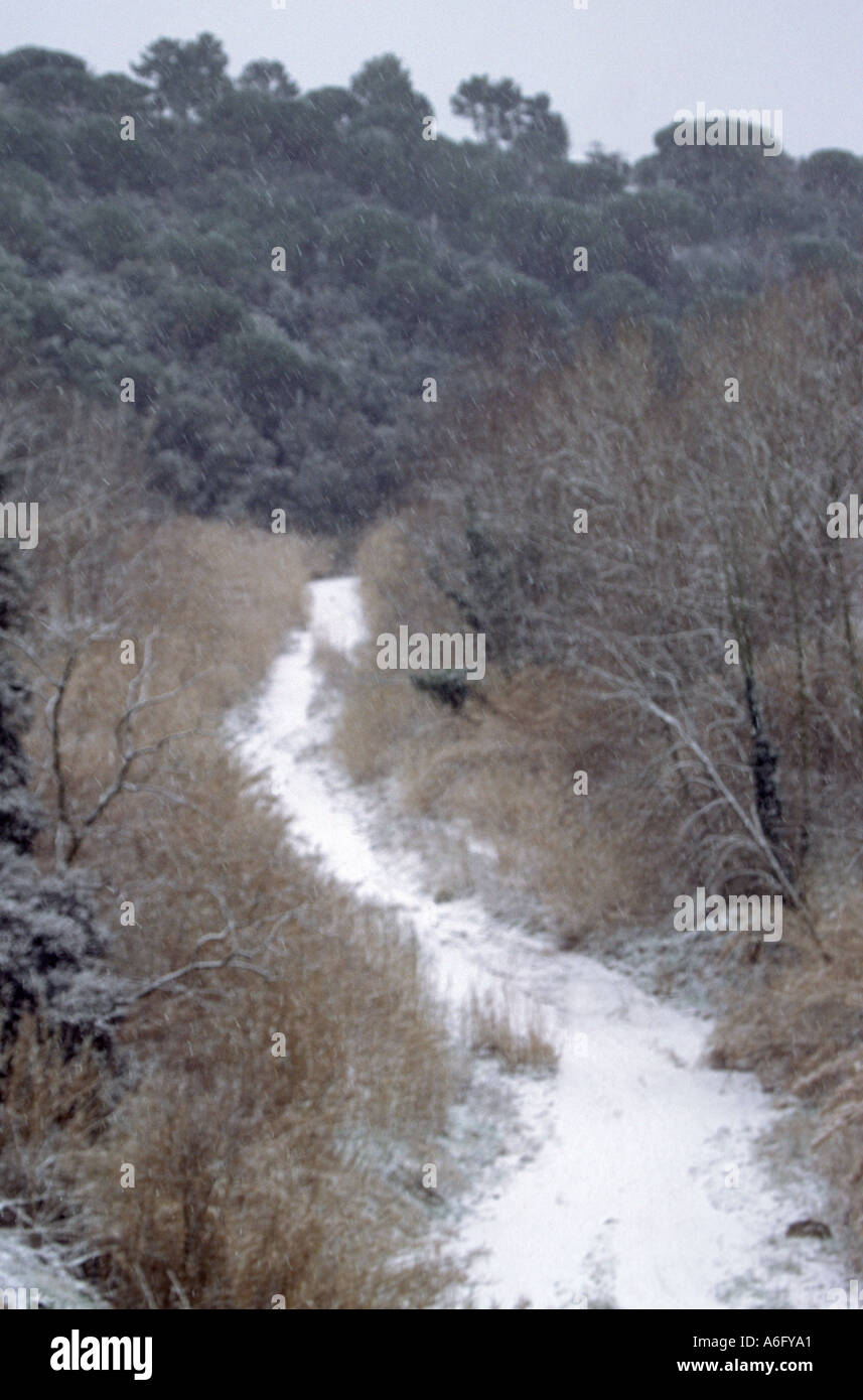 Weather snowfall hi-res stock photography and images - Alamy