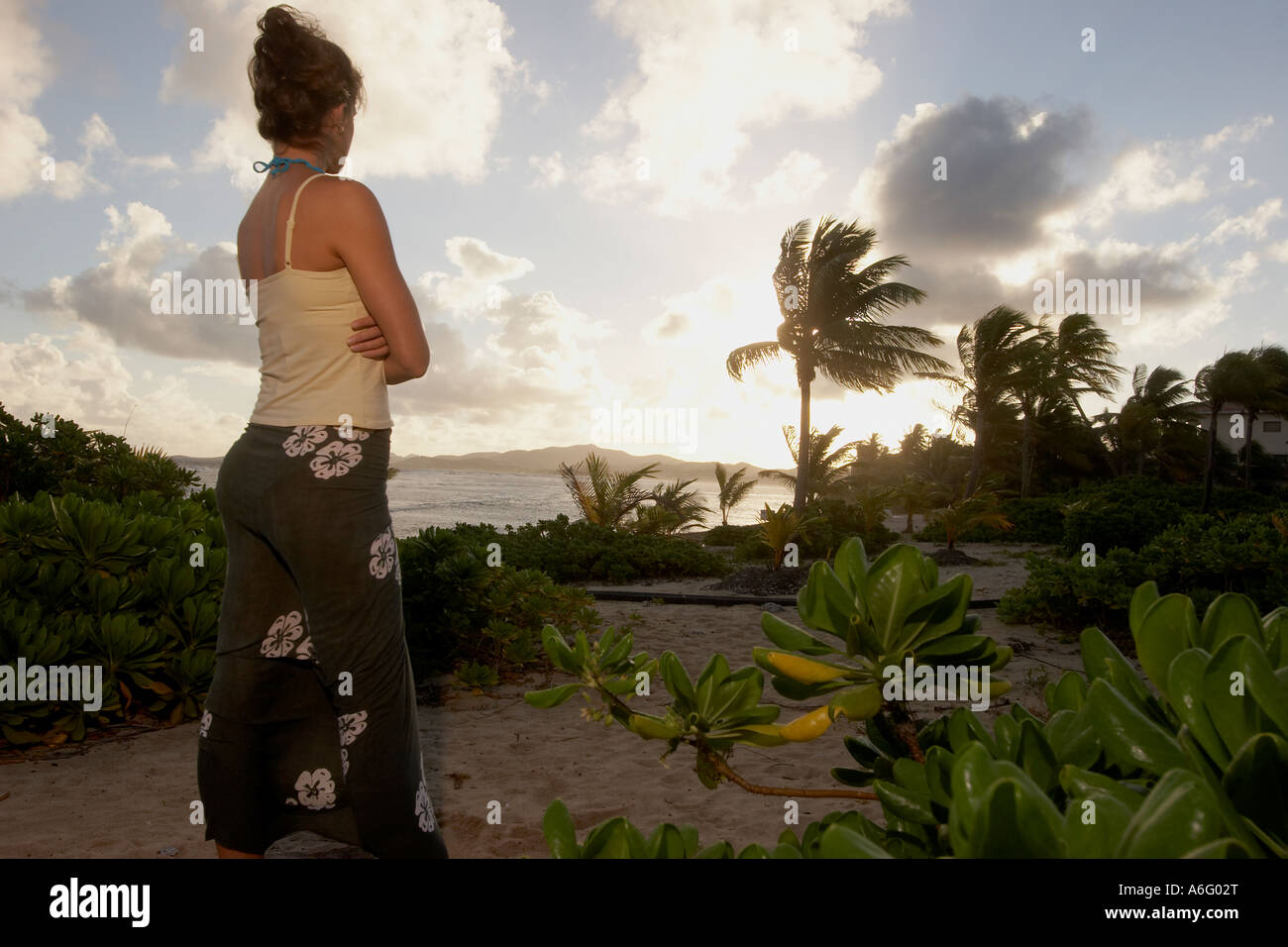 Woman watching sunset beach arms hi-res stock photography and images ...