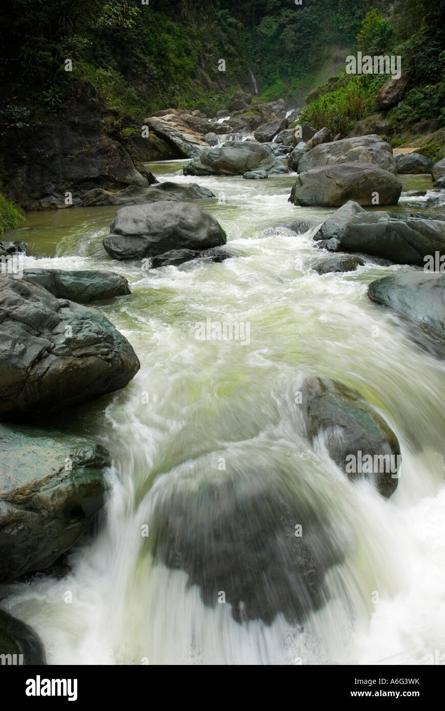 River scene at Salto de Jimenoa Waterfall, Jarabacoa, Dominican