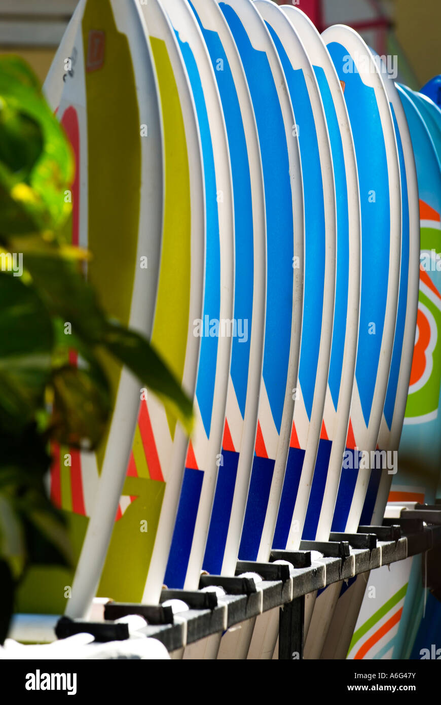 Windsurfing Boards, Cabarete, Dominican Republic, 1/07 Stock Photo Alamy